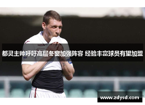 都灵主帅呼吁高层冬窗加强阵容 经验丰富球员有望加盟